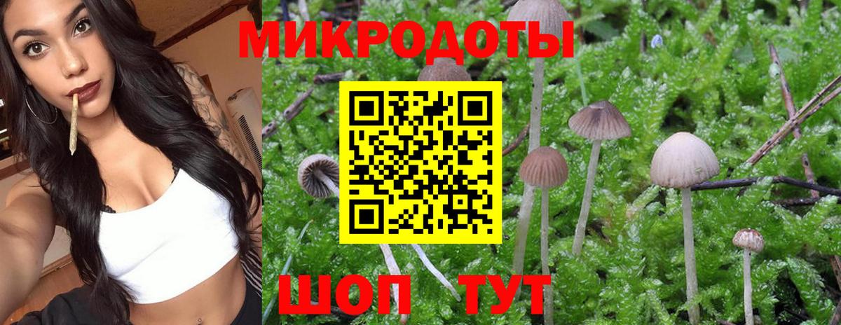 Иваново  Галлюциногенные грибы мицелий  Вход с VPN 